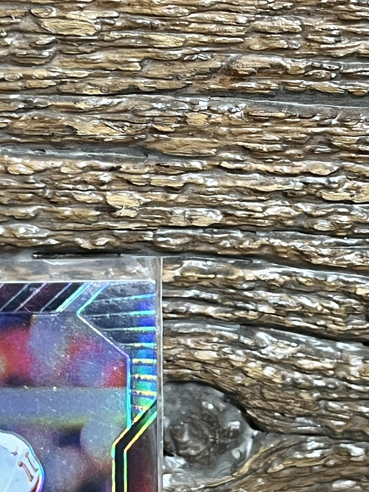 Foto 4 di 6