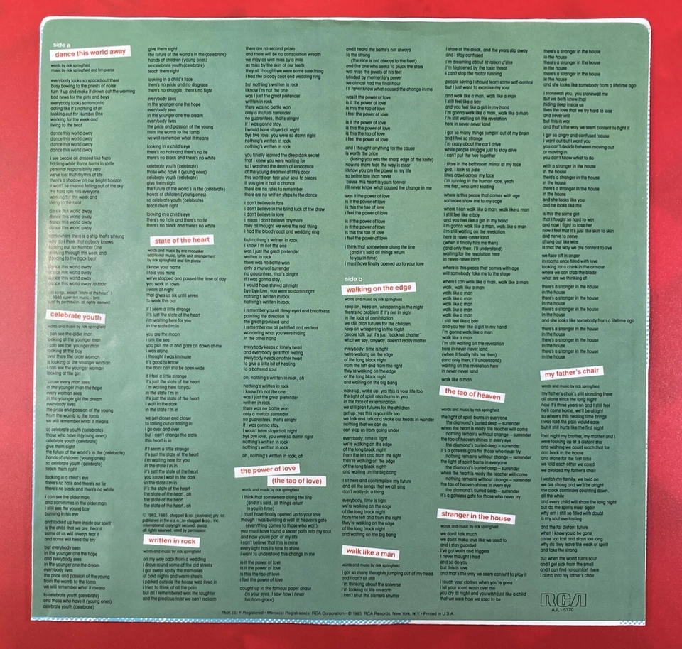 Tao by Rick Springfield (RCA Records, 1985) Vinyl LP - Image 4 of 4