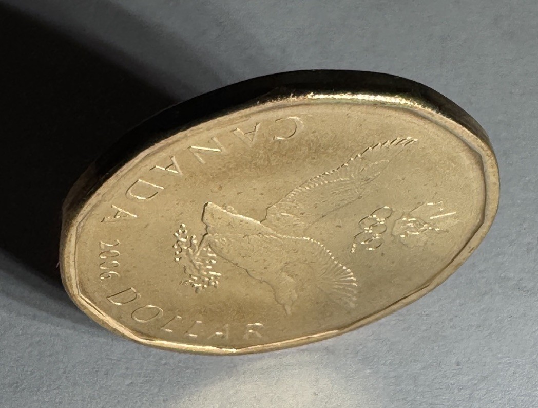 2006 Canadian Olympic Loonie $1 Dollar Coin from RCM Mint Roll