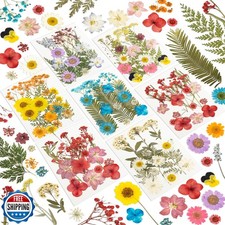 203 Pcs Dried Pressed Flowers for Resin Crafts, Real Natural Pressed Flowers