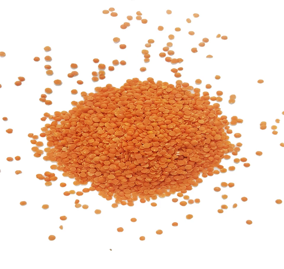 Органическая красная чечевица, также известная как Masoor Dal, низкокалорийная, богатая железом и белком - Изображение 2 из 4