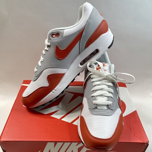 Size 10.5 - Nike Air Max 1 LV8 Martian Sunrise 2021 for sale online | eBay