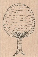 Round Tree 1 3/4 x 2 1/2" Rubber Stamp, Tree Stamp