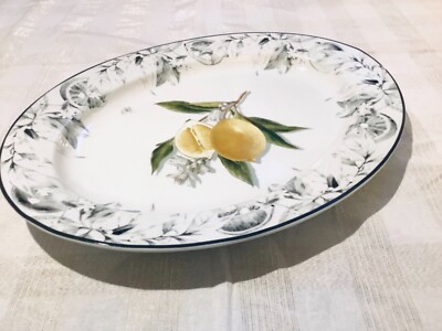 Williams Sonoma Meyer Lemon Oval Serving Platter 