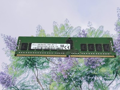 | SK Hynix | 16GB REG 2Rx8 | PC4-2400T-RE1-11 Server Memory RAM