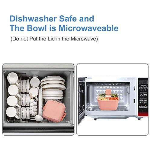 Freshmage Salad Lunch Containers To Go, 2 Pack 52-oz Bowls with 3 Pink+Green