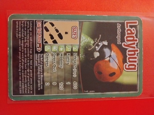 2020 Top Trumps BUGS🐞 used (you pick) cards Free Shipping - Picture 19 of 31