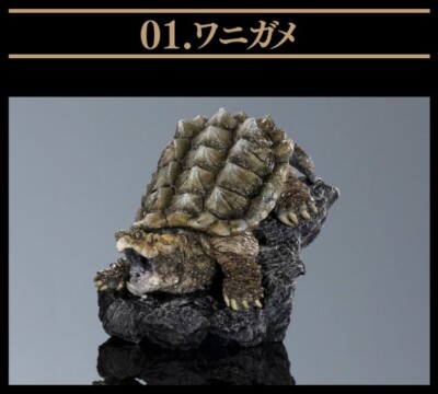Bandai Gashapon Mini Collection Figure Turtle 01 Alligator