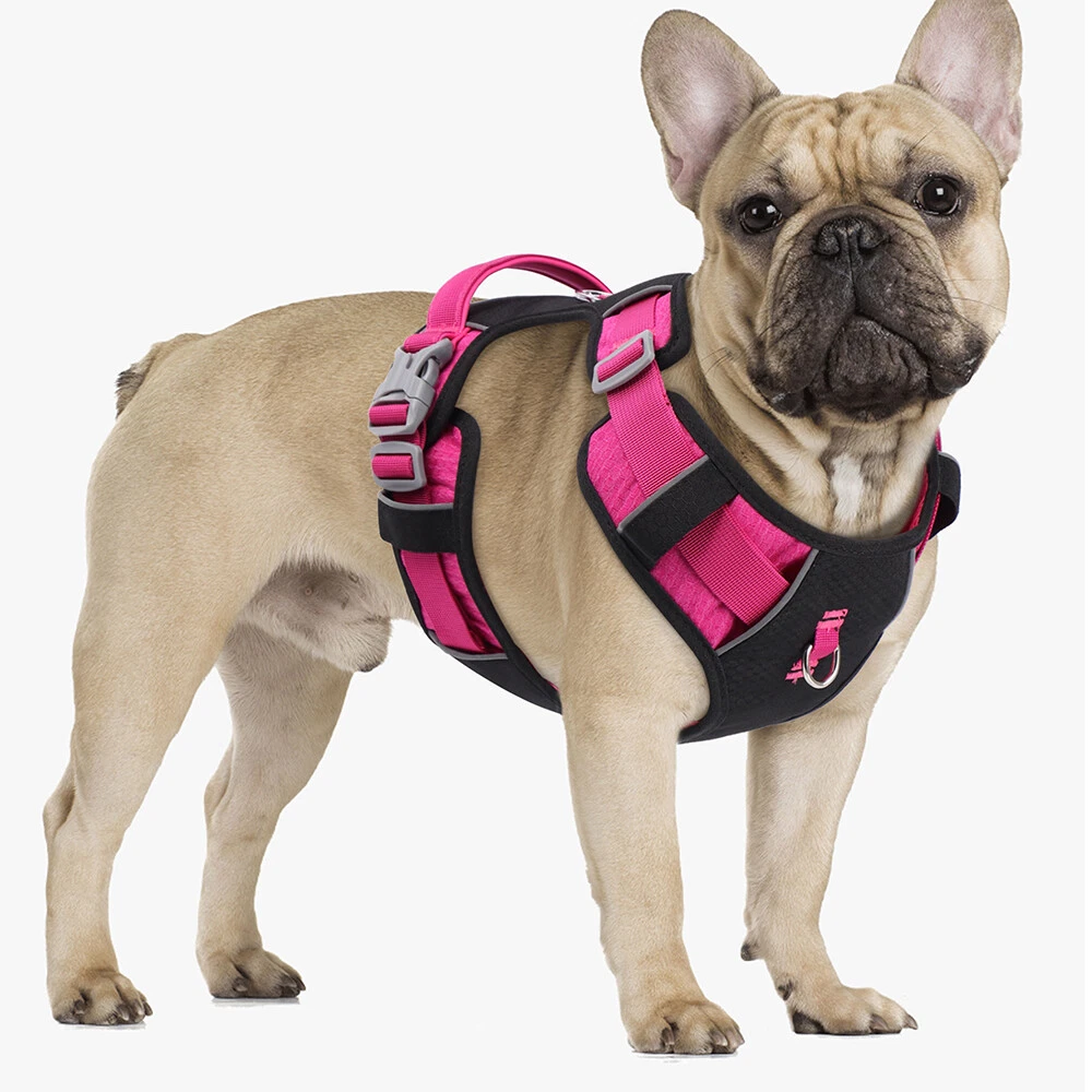 Dog Harness No-Pull Control Vest Reflective Breathable Mesh Vest w/ 2 Leash Clip Dog Harness No-Pull Control Vest Reflective Breathable Mesh Vest w/ 2 Leash Clip
