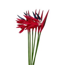 Artificial Flowers 6 Pcs Bird Of Paradise 23 Inch Permanent Strelitzia Red
