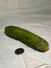 Dill pickle - Stone Marble Fruit / Vegetable Veg - VTG Antique