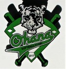 OHANA SOFTBALL CLUB TEAM PIN WITH GREEN TIGER EYES - 2017 — photo 5