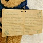 Vintage Boyd's Bears & Friends Breezy T. Frostman — photo 4