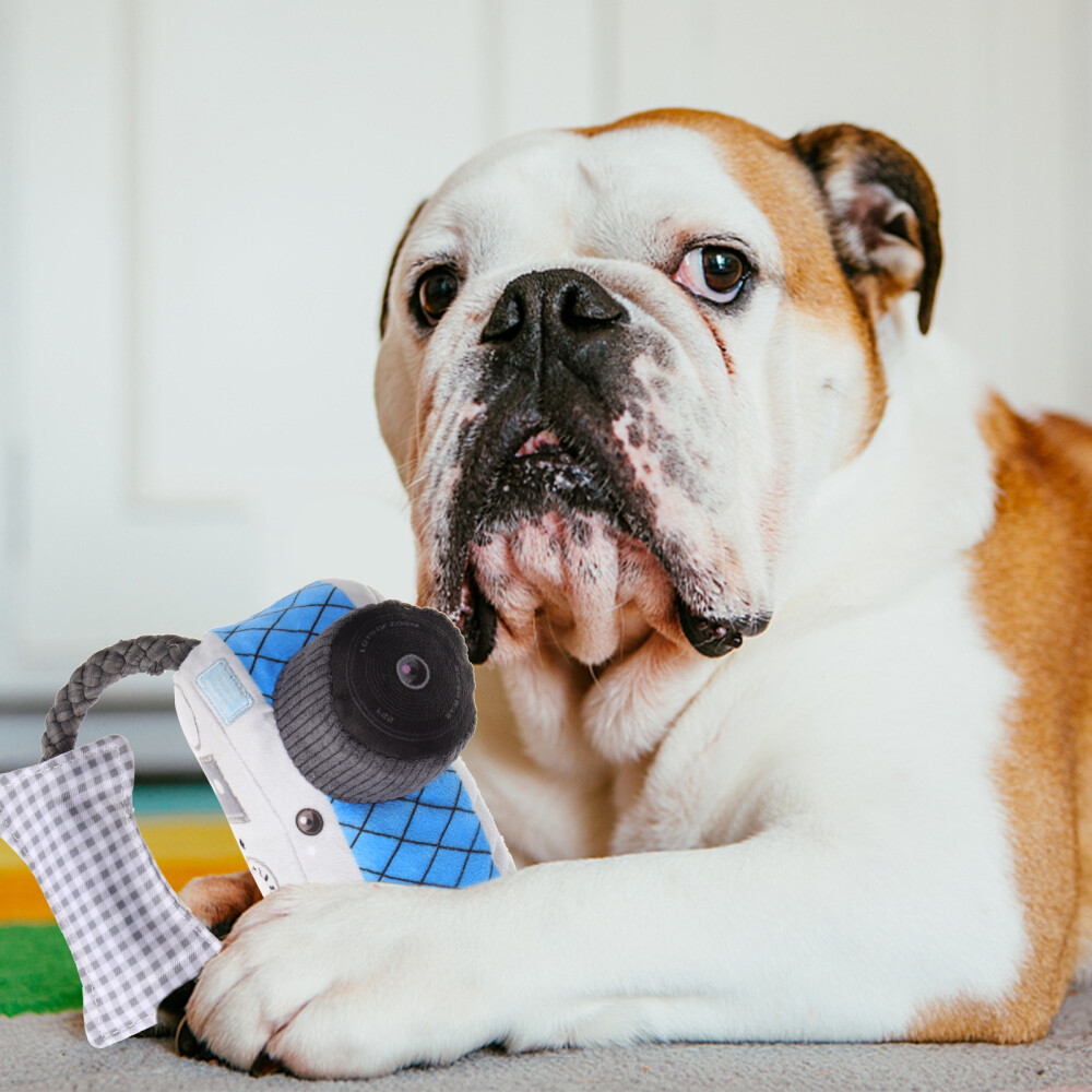 Funny Teeth Grinding Chewing Squeaky Dog Toys Pet Toys Dog Chew Toys eBay