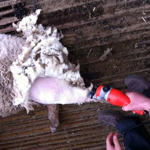 Electric Sheep Goat Shears Clippers Electric Animal Shave Grooming Farm Tool US - Picture 17 of 18