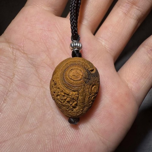 ππ₯πRare China Inner Mongolia Gobi Eye Rough Agate Specimen Pendant - Picture 10 of 10