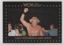 1991 Championship Marketing WCW Barry Windham #28 0in6