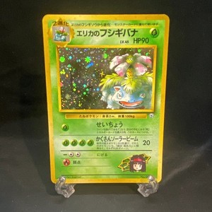 Erika's Venusaur | eBay