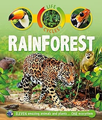 Life Cycles: Rainforest Hardcover Sean Callery