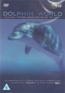 dolphin world von not specified | DVD | Zustand gut
