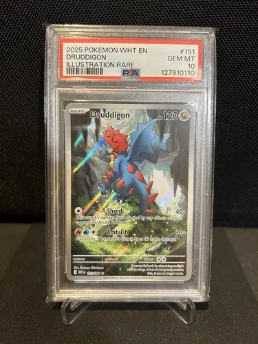 PSA 10 Druddigon 151/086 Sv: White Flare Illustration Rare Holo Pokémon TCG 2025