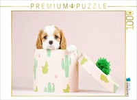 Calvendo Puzzle An Adorable Puppy Discovers The World | 1000 Pieces, Finished Si