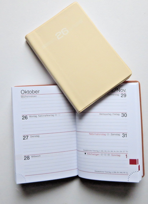 Rido/idé Wochenkalender 2024 'partner/Industrie I' - 7,2x11,2 Cm, Grün, Mit Monatsplan