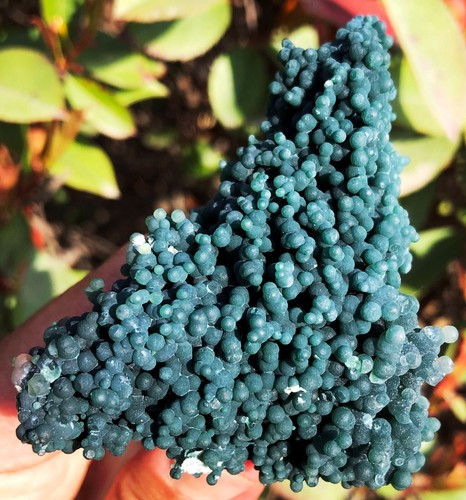 155g Natural Botryoidal Chalcedony Starlight Purple Grape Agate Specimen ie3366 - Picture 4 of 18