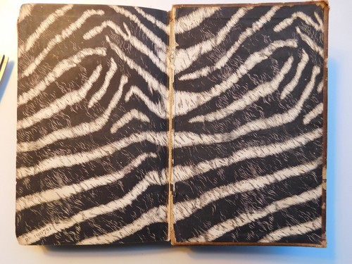 Sunshine & Storm in Rhodesia by Frederick Selous, First Edition, 1896, Rare! - Picture 10 of 10