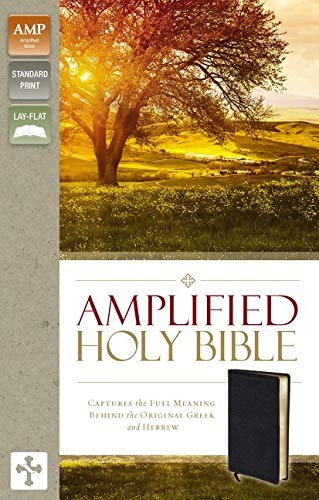 Amplified Holy Bible Bonded Leather Black LEATHER-BOUND - Image 7