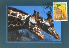 MAXIMAPHILIE / CARTE MAXIMUM PREMIER JOUR / FAUNE / GIRAFE 2000
