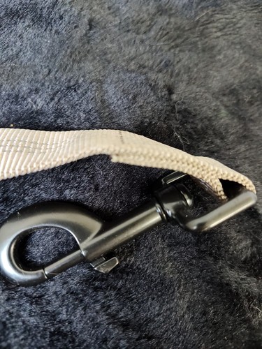 Pet Dreamland leash shock absorbing 48" long with 34" extension