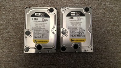 LOT OF2 Western Digital 1TB ENTERPRISE 3.5''(WD1003FBYX) HDD HEALTHY/WIPED