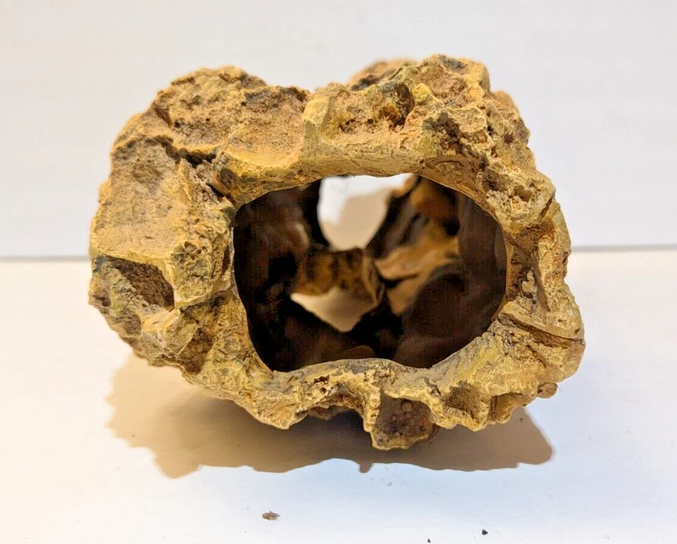 Synthetic Resin Tan-Colored Driftwood Decoration - Realistic Look - 13" x 5" x 5 - Image 3 of 4