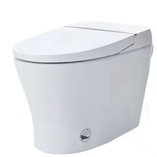 1-piece Dual Flush Elongated Smart Toilet without Bidet in White WF314230AAA