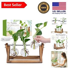 Compact Wooden Plant Propagation Station - Beautiful Retro Decor for Home