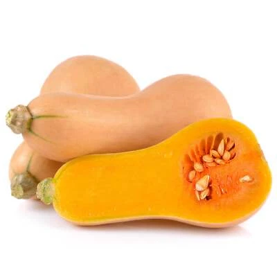 BACK TO NATURE SEED COMPANY Butternut Squash - Seeds - Organic - Non Gmo - Heirloom Seeds – Vegetable Seeds
