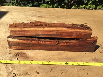 Two Reclaimed Wax Sealed Curly Koa Bowl Blanks For Turning 2@16 x3-8x2-3 