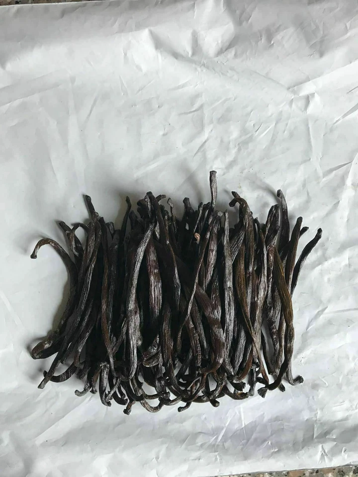 GOURMET 60 Madagascar Grade B Extract grade Bourbon Vanilla Beans [3-4 inches]