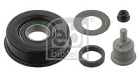 NEU - Febi Bilstein 31770 Umlenk-/FüHrungsrolle, Keilrippenriemen FüR Hyundai