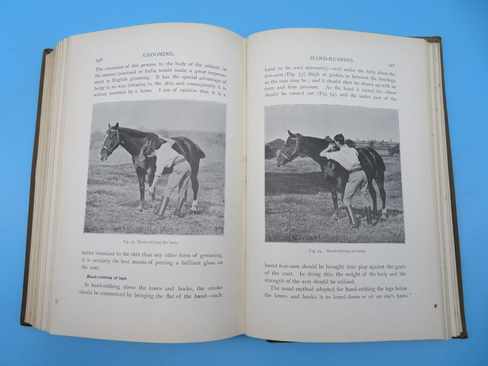 Stable Management And Exercise M Horace Hayes HB 2nd Ed 1909 Hurst And Blackett