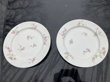 Vintage Limoges Pair M. REDON P. L. Dinner Plates Floral 9.5” EXC
