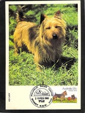 B5042 Australia Dogs Terrier aspc034 maxicard FDI postcard