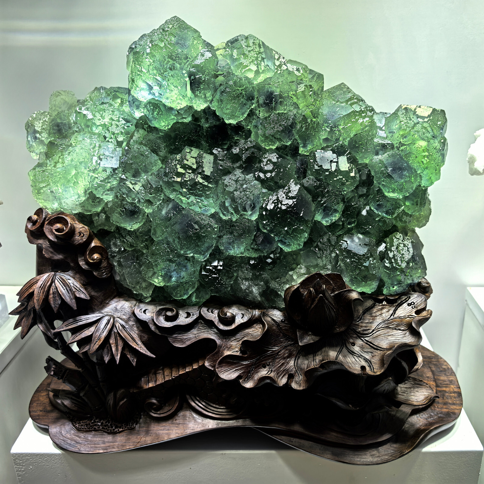 Rare 53LB Natural Blue Green Fluorite Cluster Crystal Mineral Specimen