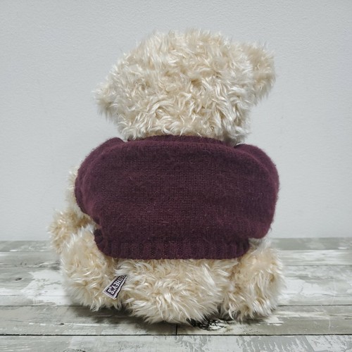 Orsacchiotto di Hershey - Edizione Times Square con T-Shirt - Peluche Orso Peloso - Foto 6 di 12