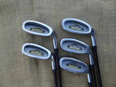 Warrior TRUE LIES 2000 #3,4,5,8,9 Iron Options   Graphite   YOU CHOOSE
