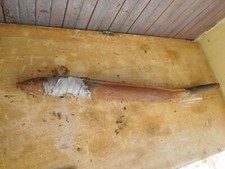 CALIFFONE RIZZATO P4 MINARELLI TUBONE MARMITTA SCARICO COLLETTORE ORIGINALE  P6