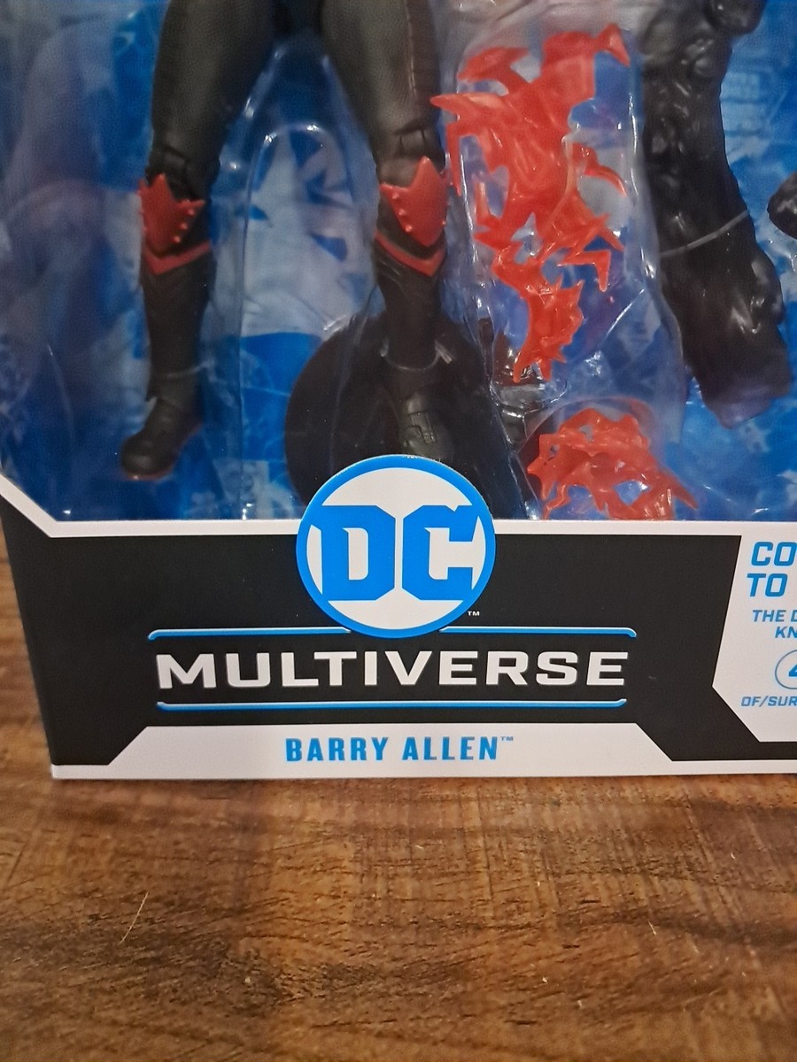 Barry Allen DC Multiverse 7