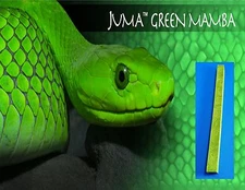 1 JUMA ® GREEN MAMBA PEN BLANK  .750" x .750" x 12" TURNING SQUARE & E-Vap