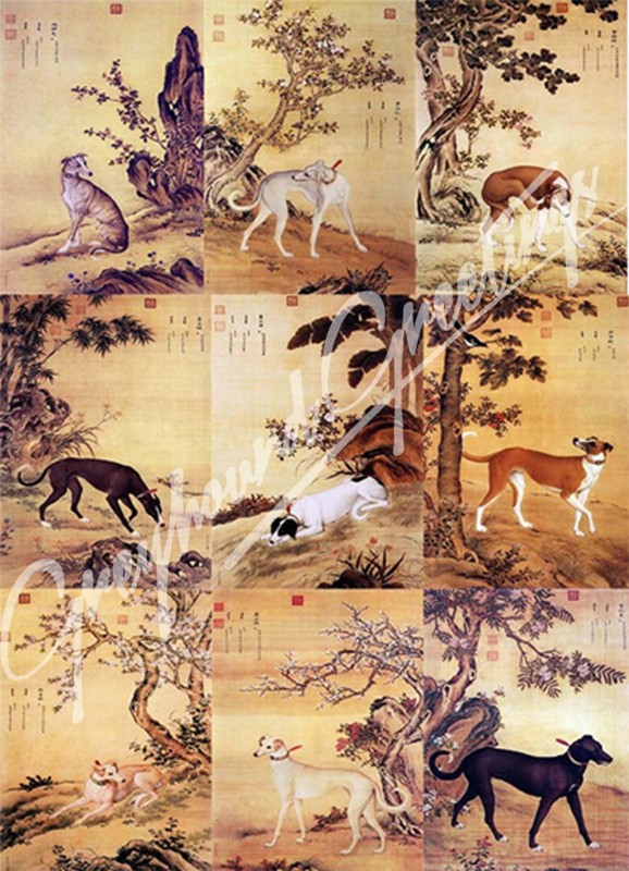 Ancient Art - Prized Greyhound Dogs Note Cards - set of 9 w/envelopes